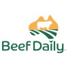 Beef Daily - Australian Standard Cool Beef BeefDai