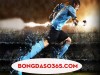 bongdaso365.com