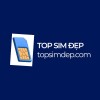 topsimdep