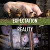 Dairy industry abuse