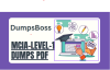 mcialevel1 dumpspdf