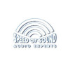 Speed of Sound Audio Experts