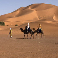 Morocco Desert Tours