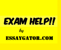 online Exam Assistance 