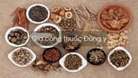 Gia công thuốc Đông y