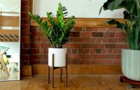 DIY Indoor Plant Stands: Beautify your House with Them