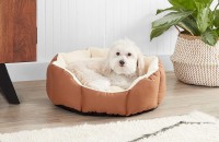 7 Best Indestructible Dog Bed for 2021