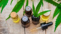 Some Important Things Before Giving CBD Oil to Dogs