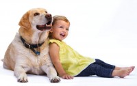 Opt For The Best Animal Companion For Your Kid