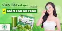 TỔNG HỢP VỀ CẦN TÂY MẬT ONG COLLAGEN