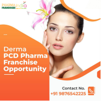 Best Derma PCD Companies in India