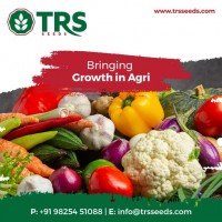 Agricultural Seeds Exporters in India