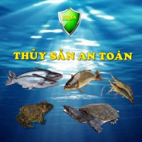 Thủy Sản