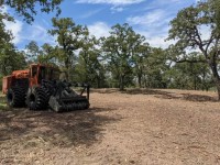Land Clearing Services in Texas