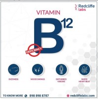 B12 Vitamin Deficiency- Vitamin Profile Test at Rs.549/-