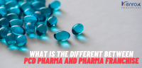 What is Difference Between PCD Pharma and Pharma Franchise
