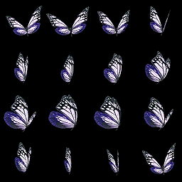 butterfly.png