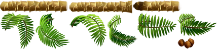 palm.png