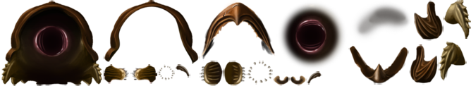 worm_main.png
