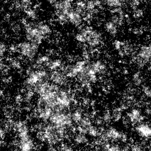 Milky_Way_Milky_Way.png