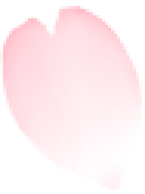 图层 1.png