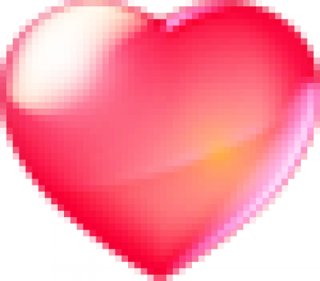 xin.png