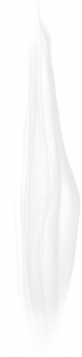 y1.png