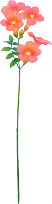 11415.png
