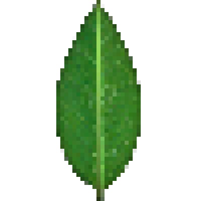 leaf.png
