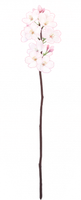card_11406.png