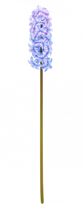 card_11402.png