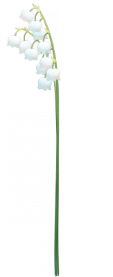 card_11408.png