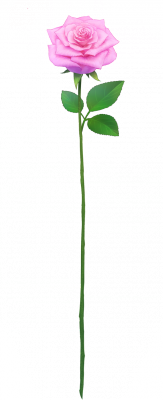 card_11409.png