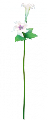card_11410.png