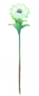 card_11413.png