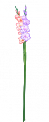 card_11414.png