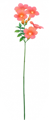 card_11415.png