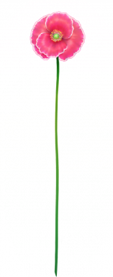 card_11401.png