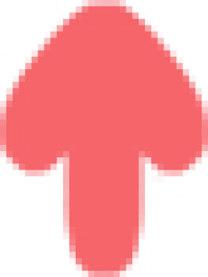 图层 50 拷贝 3.png
