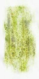 chemic_fluid2.jpg