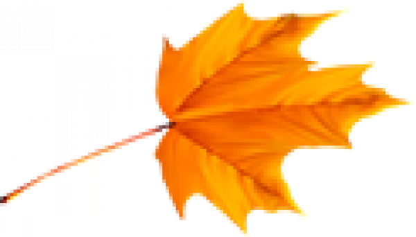 ssssu30.png