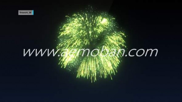 firework_08.jpg