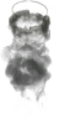 7-17.png