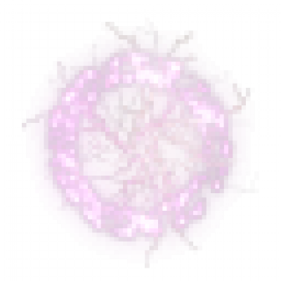 37-9.png