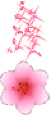 47-5.png