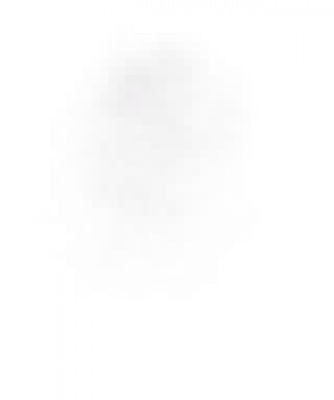 120-1.png