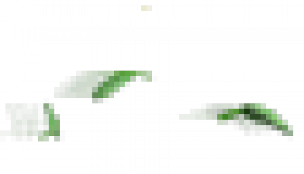 131-1.png