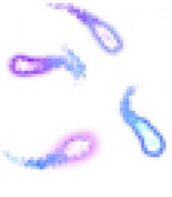 140-10.png
