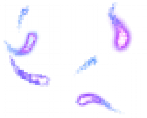 140-19.png