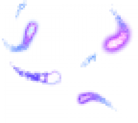 140-20.png